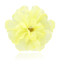 Biżuteria Ivon Broszka