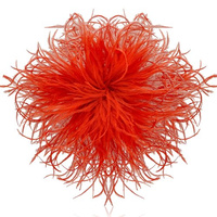 Biżuteria Yvon Broszka